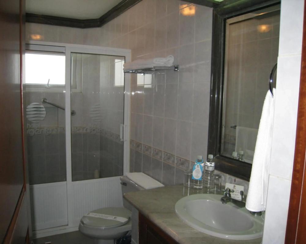 фото Hotel Argento