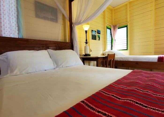 Lower Dover Jungle Lodge & Maya Ruins - Hostel