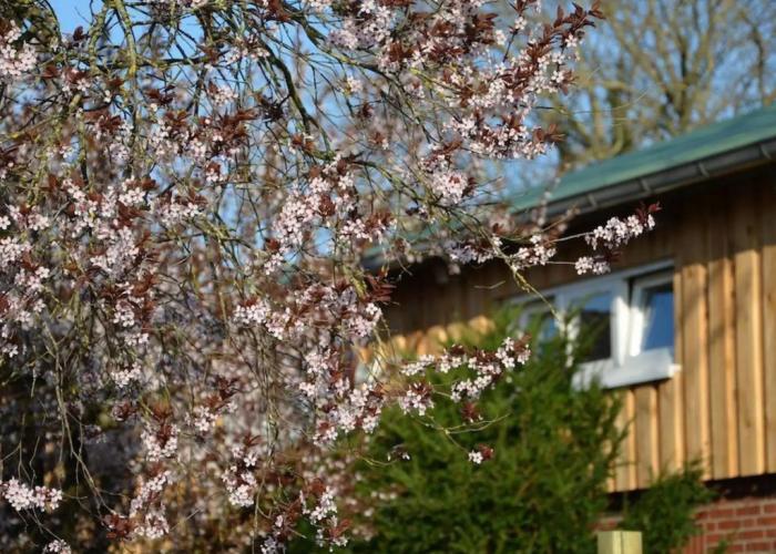 Kleines Landhotel Rehedyk