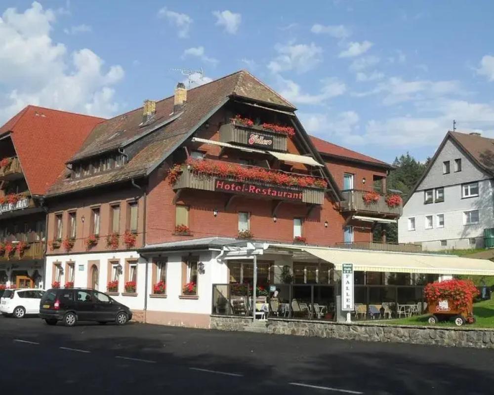 Hotel Faller