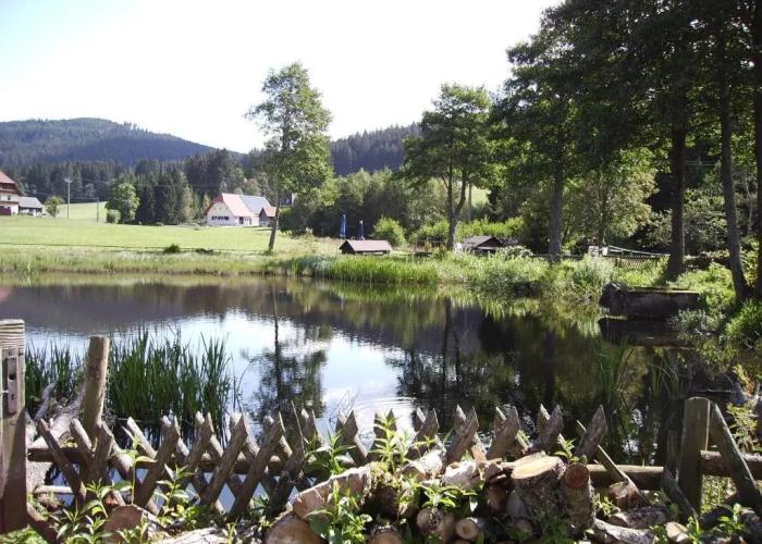 Gasthaus Backhof-Helmle