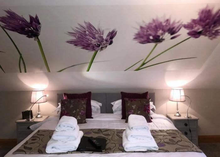 Ashbrook House B&B