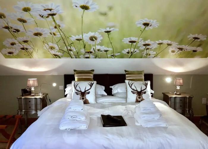 Ashbrook House B&B