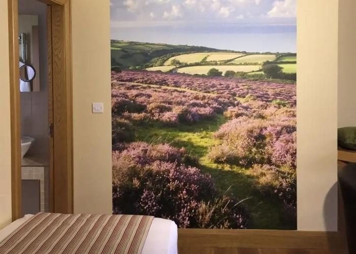 Ashbrook House B&B