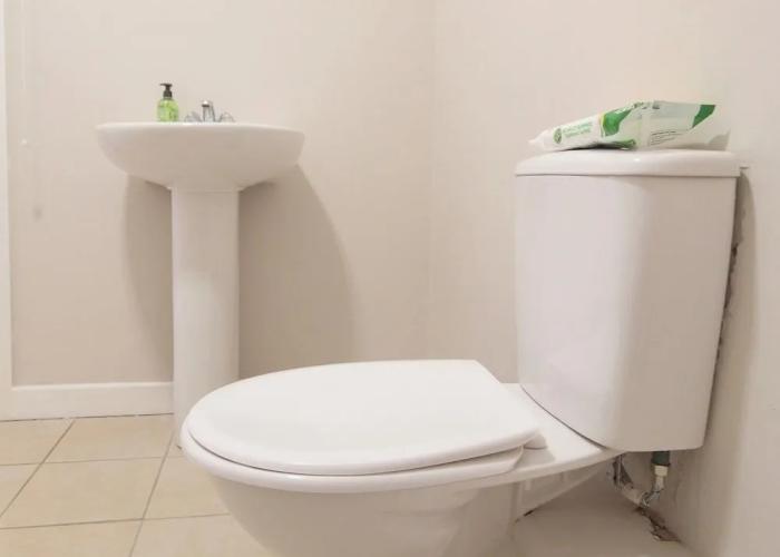 The Otton Suite