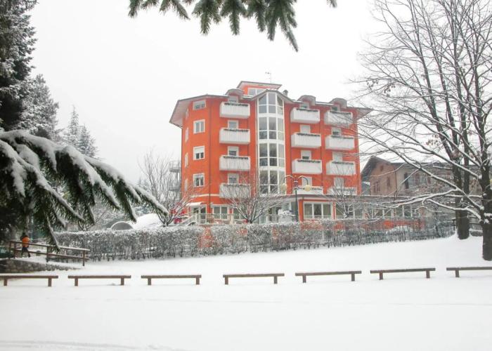 Nature Bio Hotel Elite