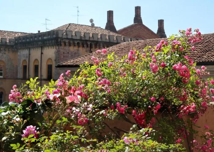 Arnaboldi Palace