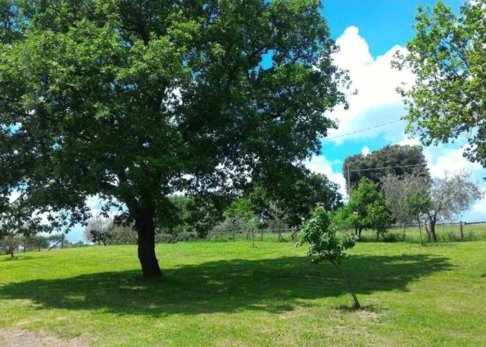 Agriturismo San Filippo