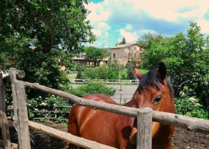 Agriturismo San Filippo