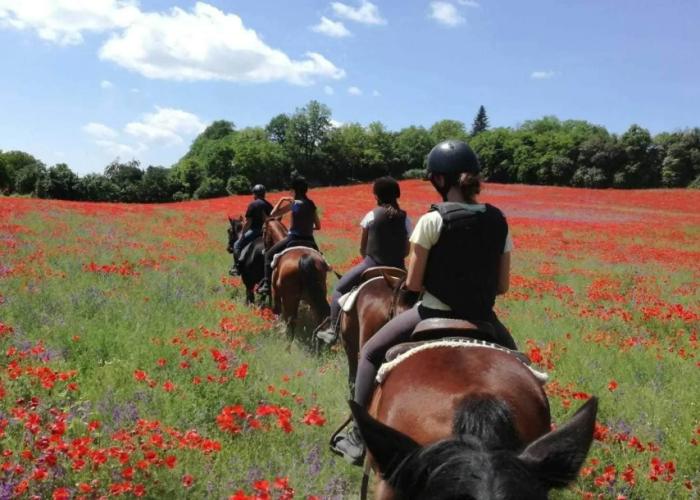 Agriturismo San Filippo
