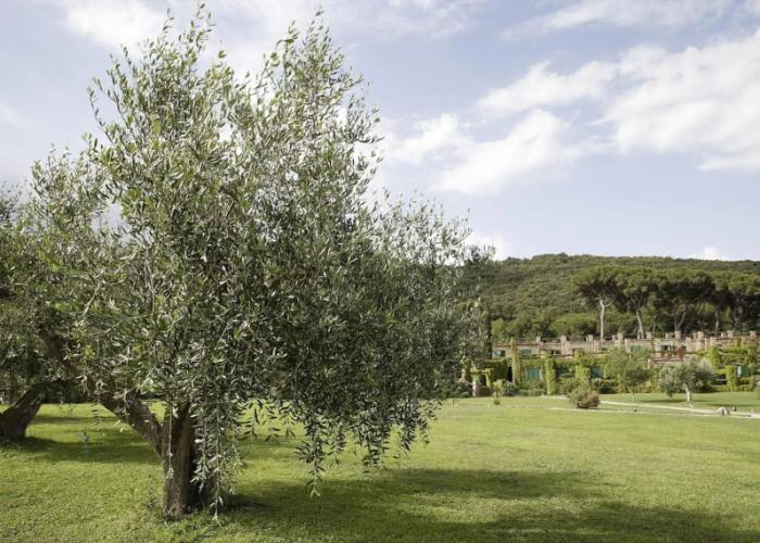 Residenza Sant'Anna del Volterraio
