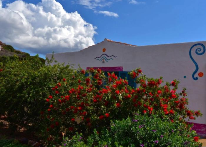 Poecylia Resort