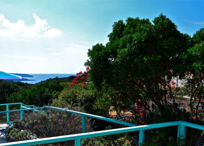 Poecylia Resort