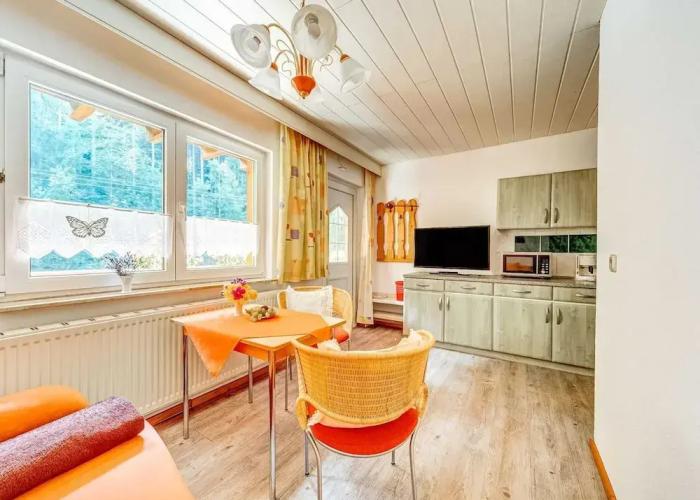 Apartment Thuringian Forest With Balcony