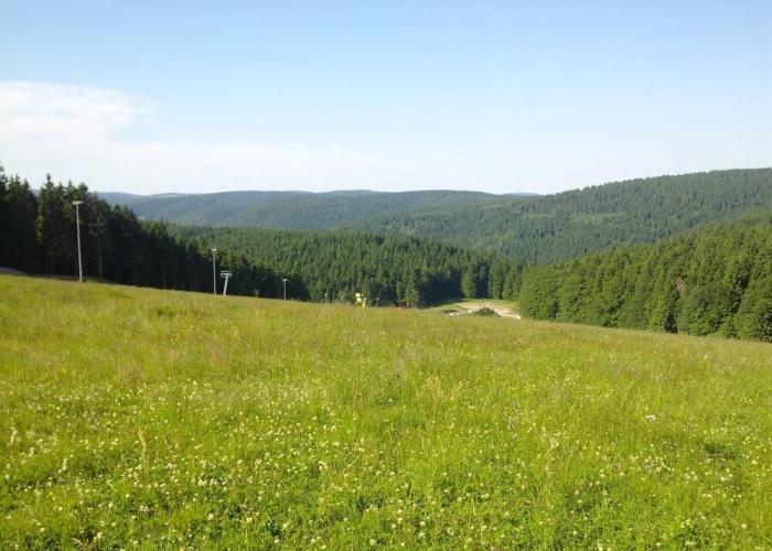 Apartment in Schnett Near the ski Area