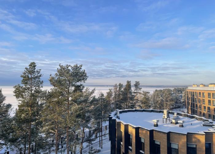 Laskovie Dyuni Apartments