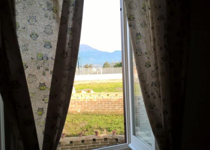 B&B PompeiLog