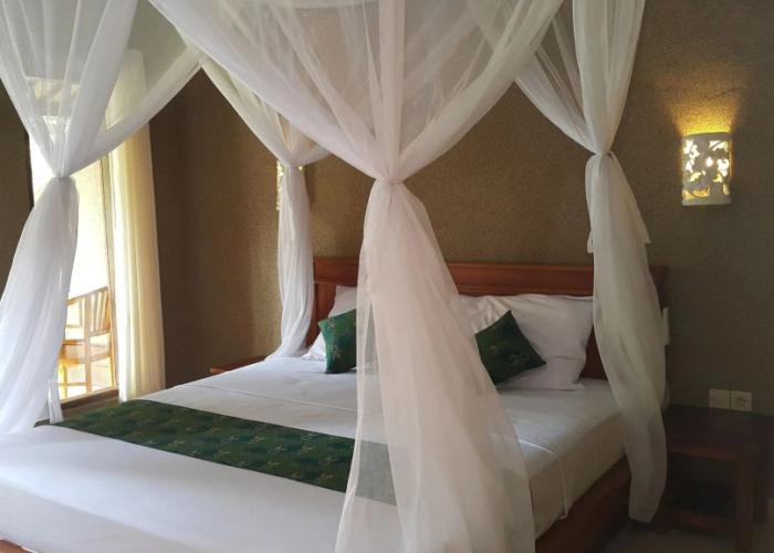 Mango Tree Inn