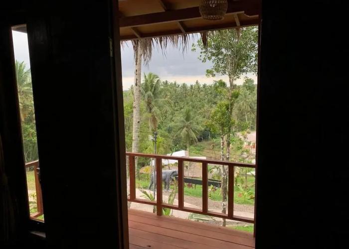 Kampung Coklat Jembrana