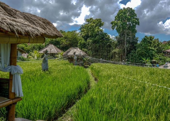 Kts Balinese Villas By Zuzu