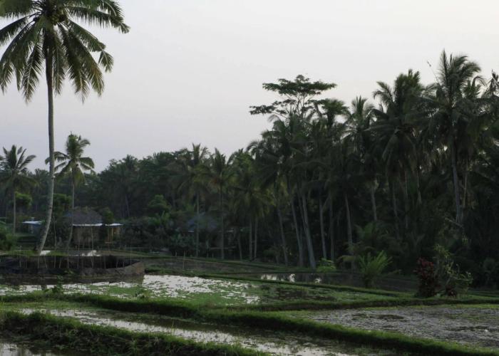 Ubud Syailendra Villas
