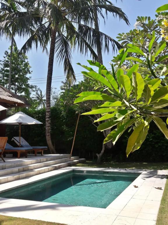 фото Villa Sasoon
