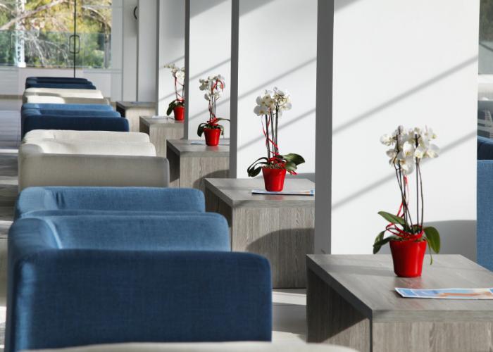 Roc Carolina Hotel