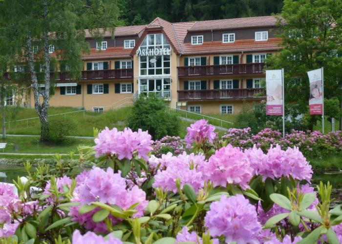 Parkhotel Bad Brambach