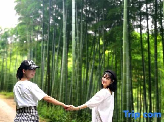 Deqing Shanyinju Country House