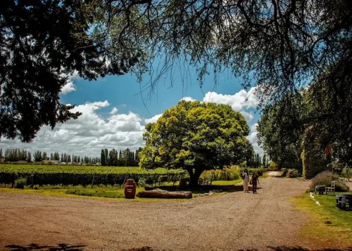 Lodwine Lodges