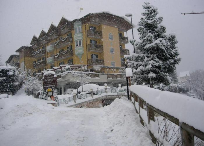 Alexander Hotel Alpine Wellness Dolomites