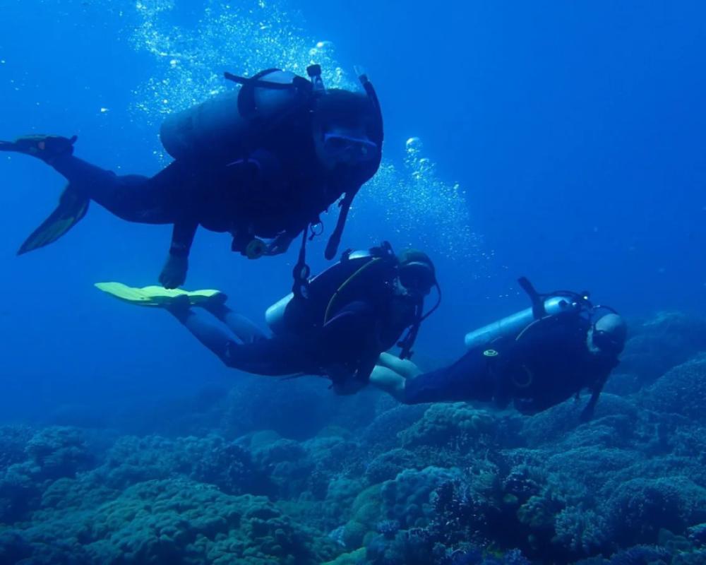 фото Liquid Dive Resort