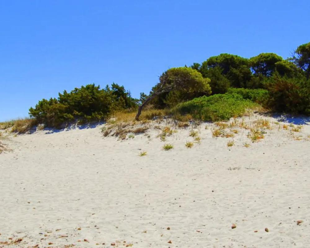 фото Beach Hotel Budoni
