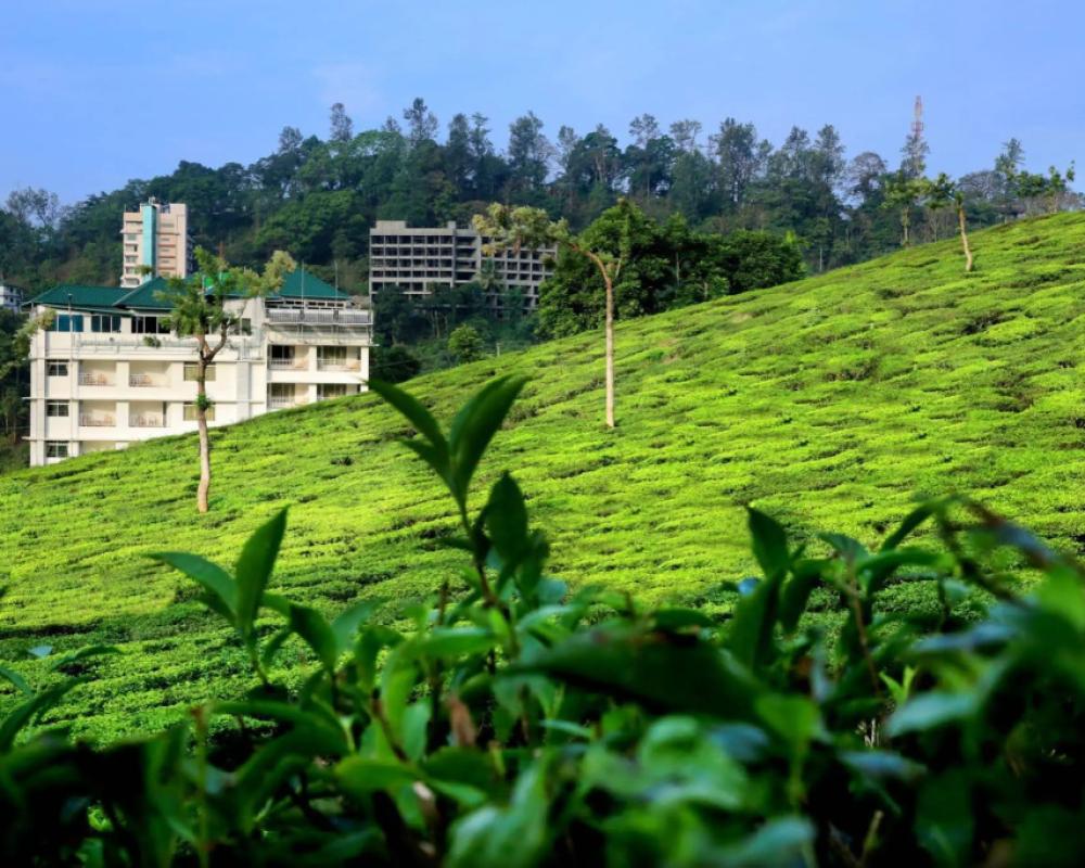 фото Monsoon Grande