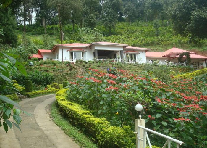 Hotel OliveBrook