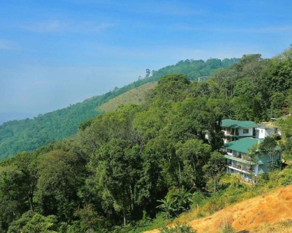 фото Eagle Mountain Resort Munnar