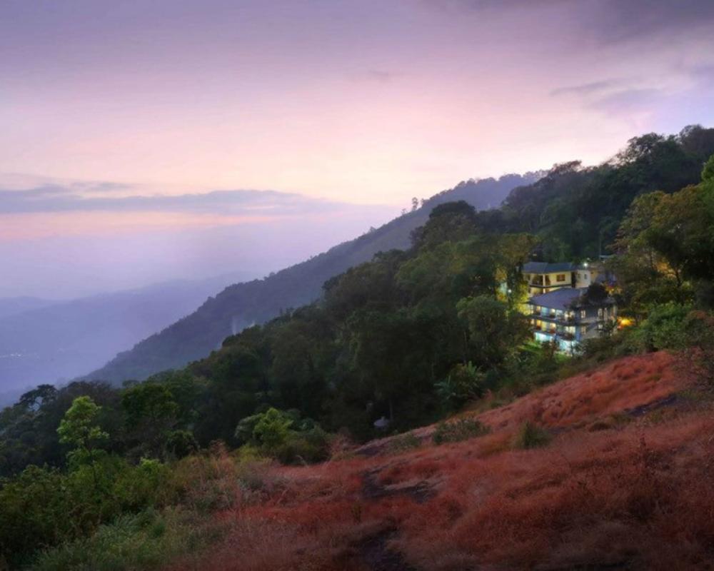 фото Eagle Mountain Resort Munnar