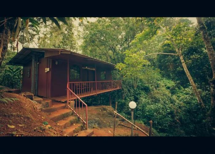 Ela Ecoland Munnar - A Nature Retreat