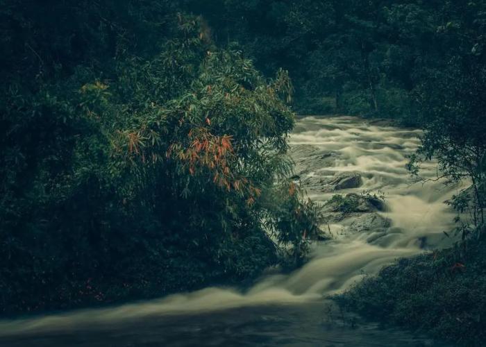 Ela Ecoland Munnar - A Nature Retreat