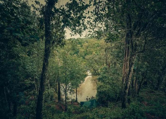 Ela Ecoland Munnar - A Nature Retreat