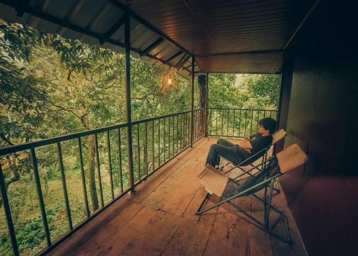 Ela Ecoland Munnar - A Nature Retreat