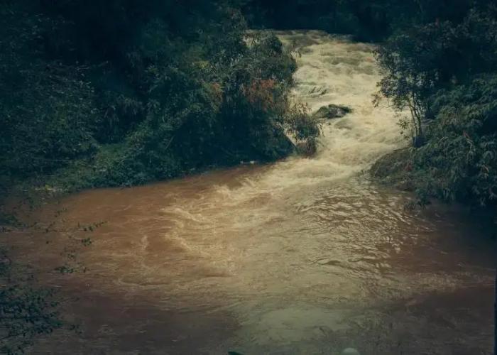 Ela Ecoland Munnar - A Nature Retreat