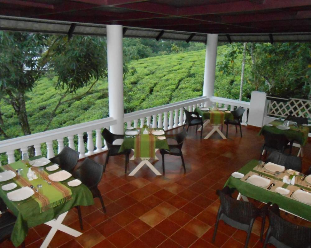фото Tea Harvester Munnar