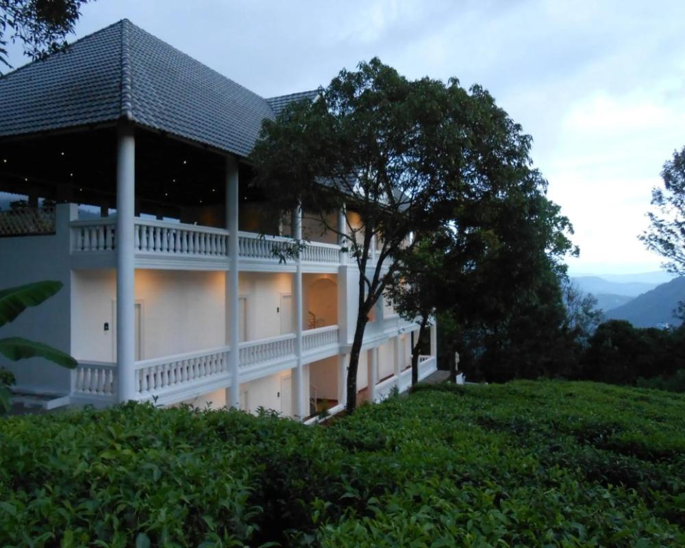 фото Tea Harvester Munnar