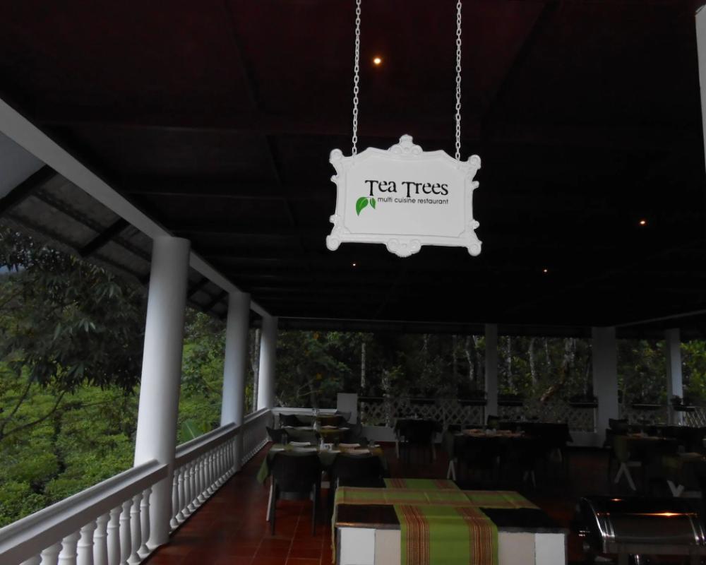 фото Tea Harvester Munnar