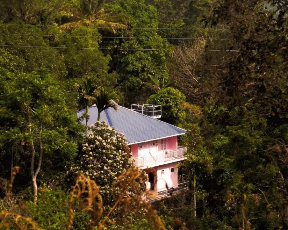 фото Drizzle Valley Cottage