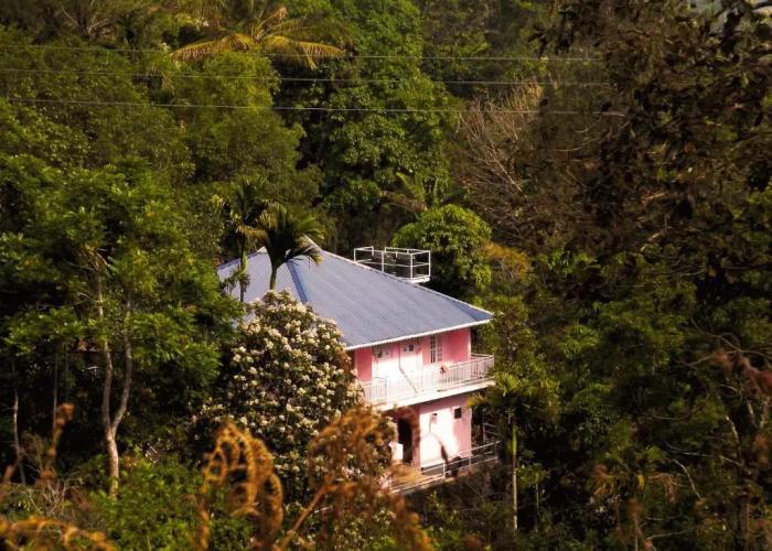 Drizzle Valley Cottage