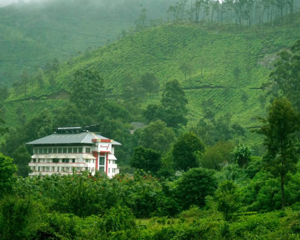 фото Hillview Munnar