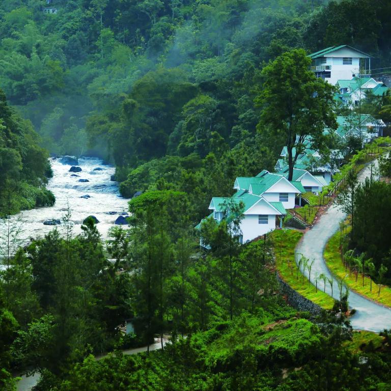 фото Rivulet