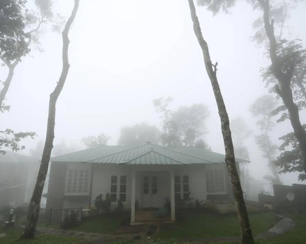 фото Spicetree Munnar